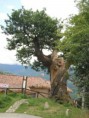 /album/fotogaleria/a091-jpg/